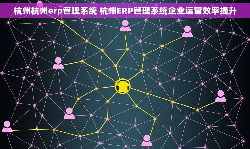 杭州杭州erp管理系统 杭州ERP管理系统企业运营效率提升