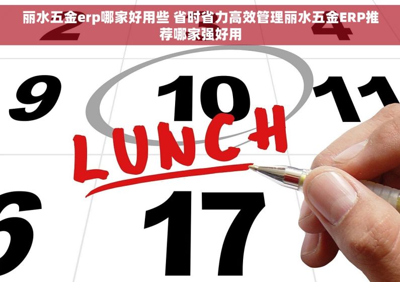 丽水五金erp哪家好用些 省时省力高效管理丽水五金ERP推荐哪家强好用