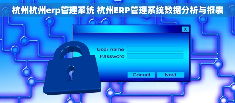 杭州杭州erp管理系统 杭州ERP管理系统数据分析与报表