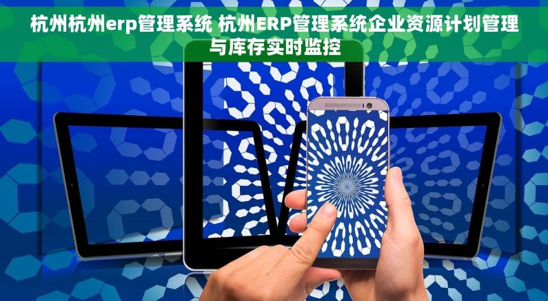 杭州杭州erp管理系统 杭州ERP管理系统企业资源计划管理与库存实时监控