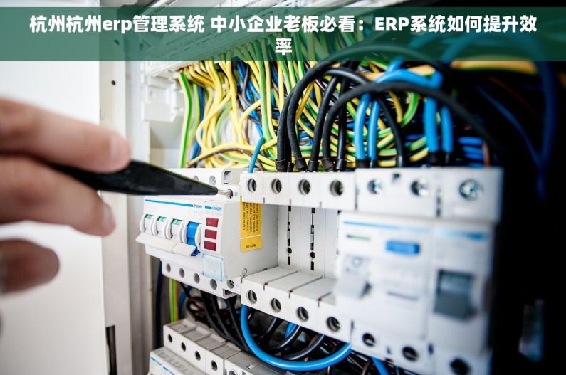 杭州杭州erp管理系统 中小企业老板必看：ERP系统如何提升效率