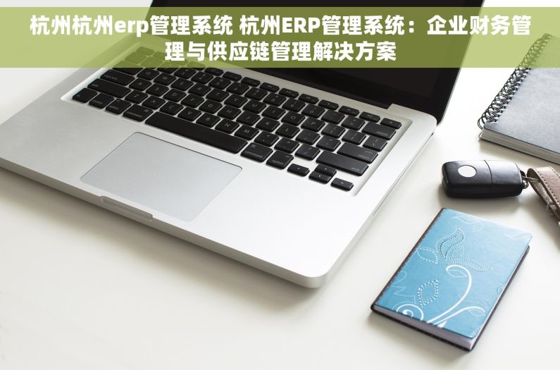 杭州杭州erp管理系统 杭州ERP管理系统：企业财务管理与供应链管理解决方案