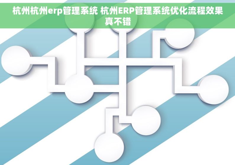 杭州杭州erp管理系统 杭州ERP管理系统优化流程效果真不错