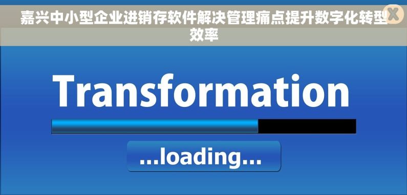 嘉兴中小型企业进销存软件解决管理痛点提升数字化转型效率