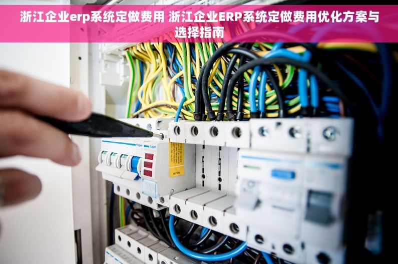 浙江企业erp系统定做费用 浙江企业ERP系统定做费用优化方案与选择指南