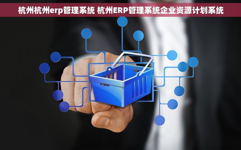 杭州杭州erp管理系统 杭州ERP管理系统企业资源计划系统