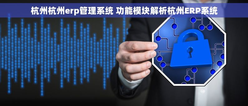 杭州杭州erp管理系统 功能模块解析杭州ERP系统