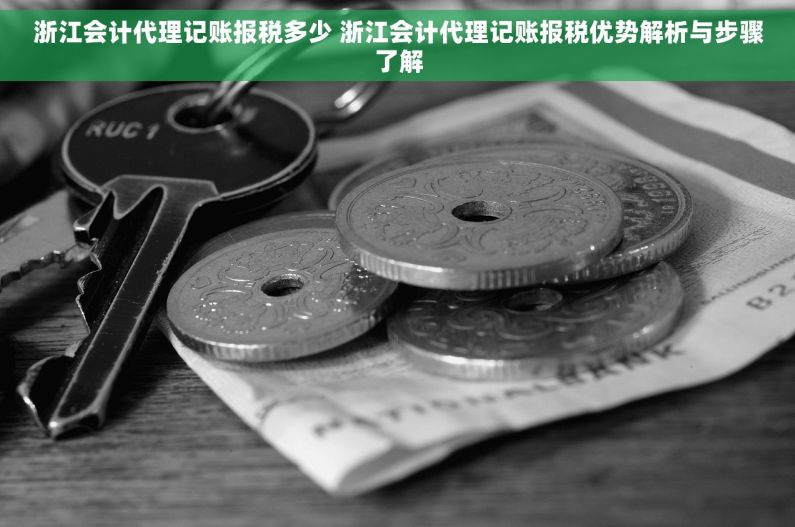 浙江会计代理记账报税多少 浙江会计代理记账报税优势解析与步骤了解