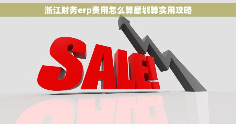 浙江财务erp费用怎么算最划算实用攻略
