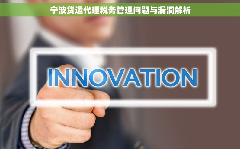 宁波货运代理税务管理问题与漏洞解析