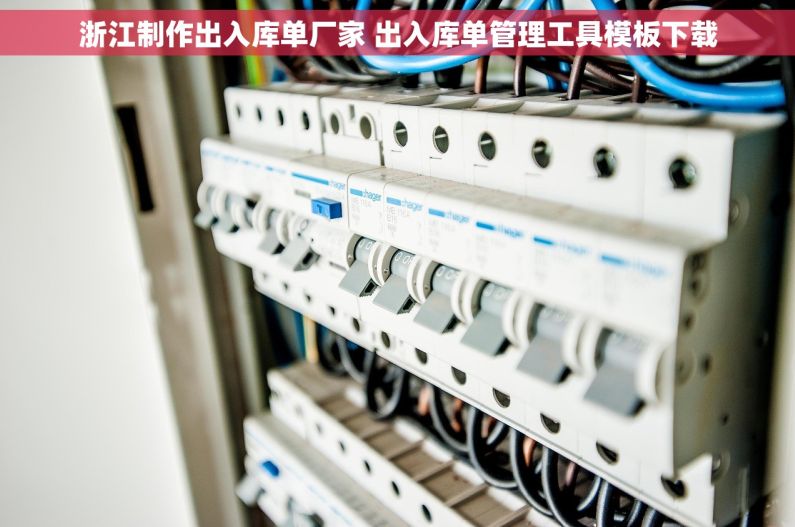 浙江制作出入库单厂家 出入库单管理工具模板下载