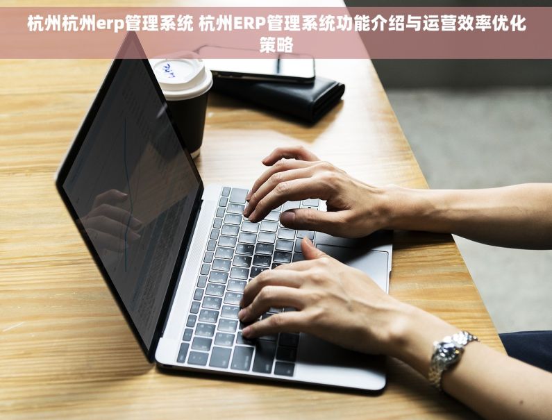 杭州杭州erp管理系统 杭州ERP管理系统功能介绍与运营效率优化策略
