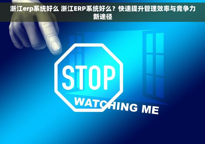 浙江erp系统好么 浙江ERP系统好么？快速提升管理效率与竞争力新途径