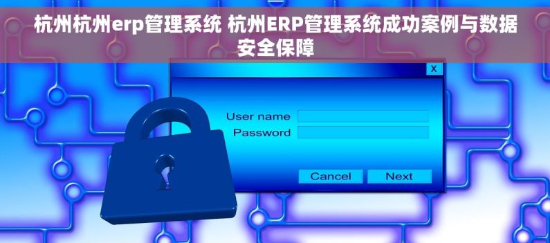杭州杭州erp管理系统 杭州ERP管理系统成功案例与数据安全保障