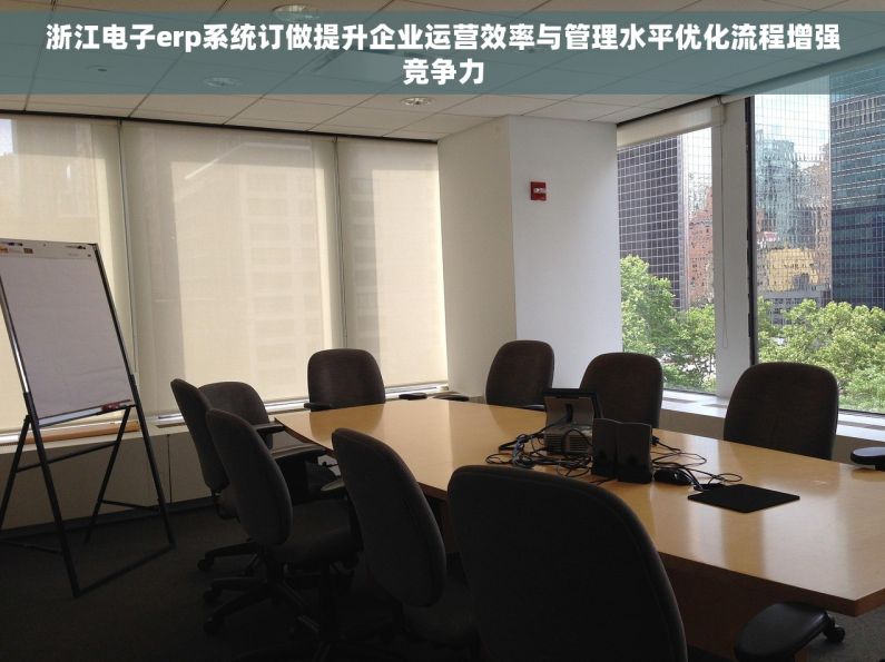 浙江电子erp系统订做提升企业运营效率与管理水平优化流程增强竞争力