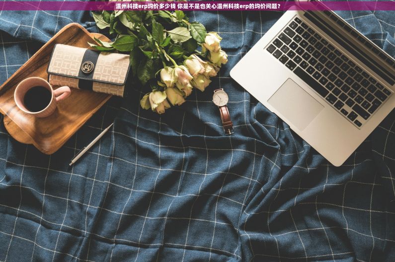 温州科技erp均价多少钱 你是不是也关心温州科技erp的均价问题？