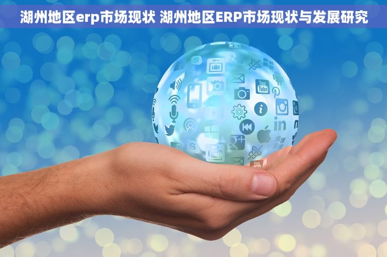 湖州地区erp市场现状 湖州地区ERP市场现状与发展研究