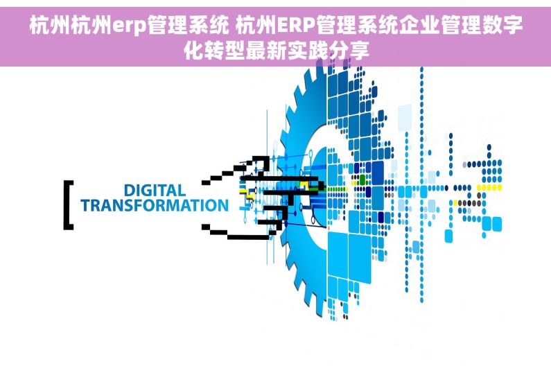 杭州杭州erp管理系统 杭州ERP管理系统企业管理数字化转型最新实践分享