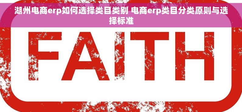 湖州电商erp如何选择类目类别 电商erp类目分类原则与选择标准