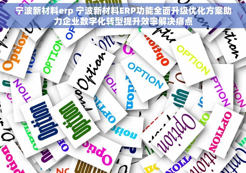 宁波新材料erp 宁波新材料ERP功能全面升级优化方案助力企业数字化转型提升效率解决痛点