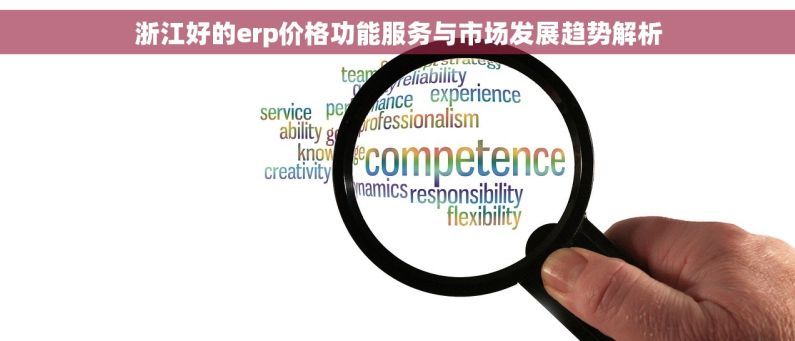 浙江好的erp价格功能服务与市场发展趋势解析