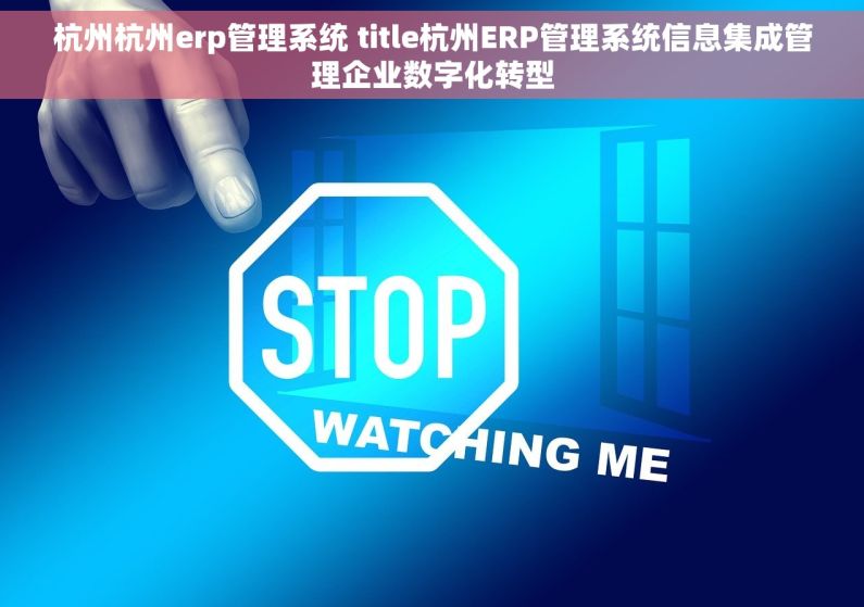 杭州杭州erp管理系统 title杭州ERP管理系统信息集成管理企业数字化转型