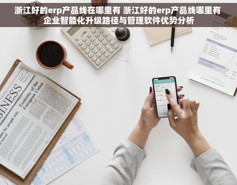 浙江好的erp产品线在哪里有 浙江好的erp产品线哪里有 企业智能化升级路径与管理软件优势分析