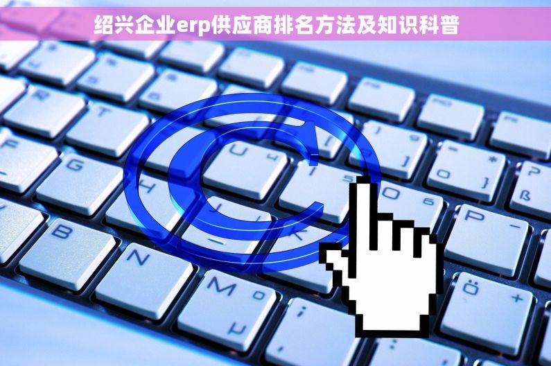 绍兴企业erp供应商排名方法及知识科普