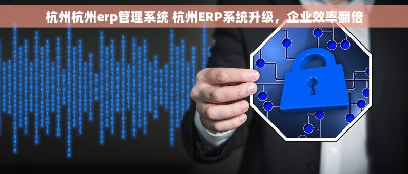 杭州杭州erp管理系统 杭州ERP系统升级，企业效率翻倍