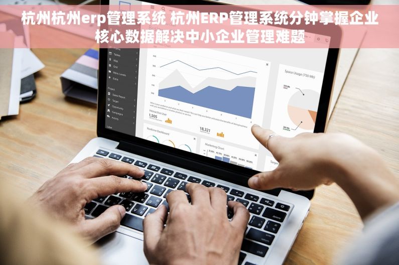 杭州杭州erp管理系统 杭州ERP管理系统分钟掌握企业核心数据解决中小企业管理难题