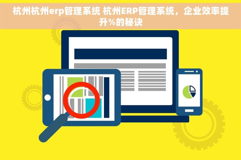 杭州杭州erp管理系统 杭州ERP管理系统，企业效率提升%的秘诀