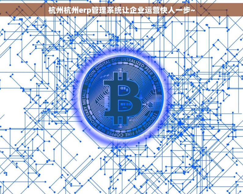 杭州杭州erp管理系统让企业运营快人一步~