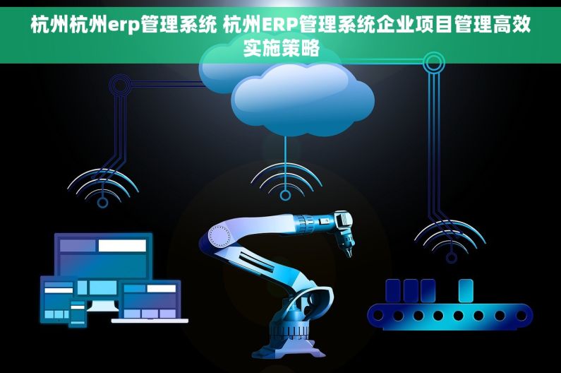 杭州杭州erp管理系统 杭州ERP管理系统企业项目管理高效实施策略