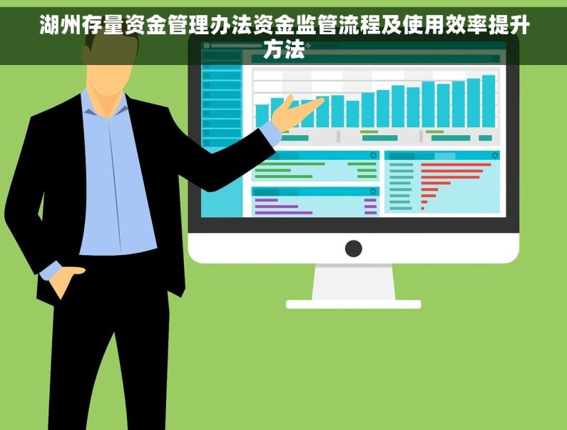 湖州存量资金管理办法资金监管流程及使用效率提升方法