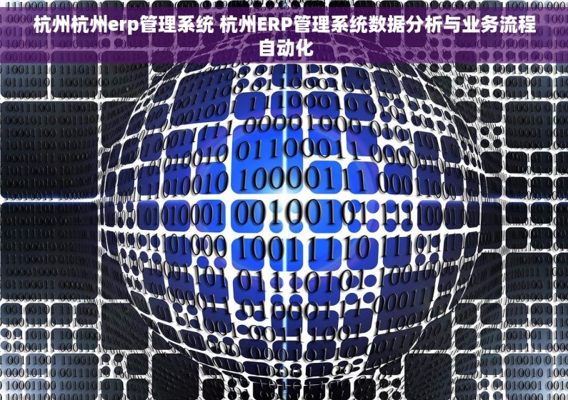 杭州杭州erp管理系统 杭州ERP管理系统数据分析与业务流程自动化