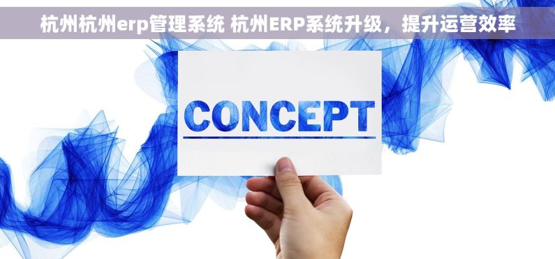 杭州杭州erp管理系统 杭州ERP系统升级，提升运营效率