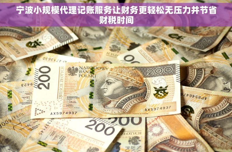 宁波小规模代理记账服务让财务更轻松无压力并节省财税时间