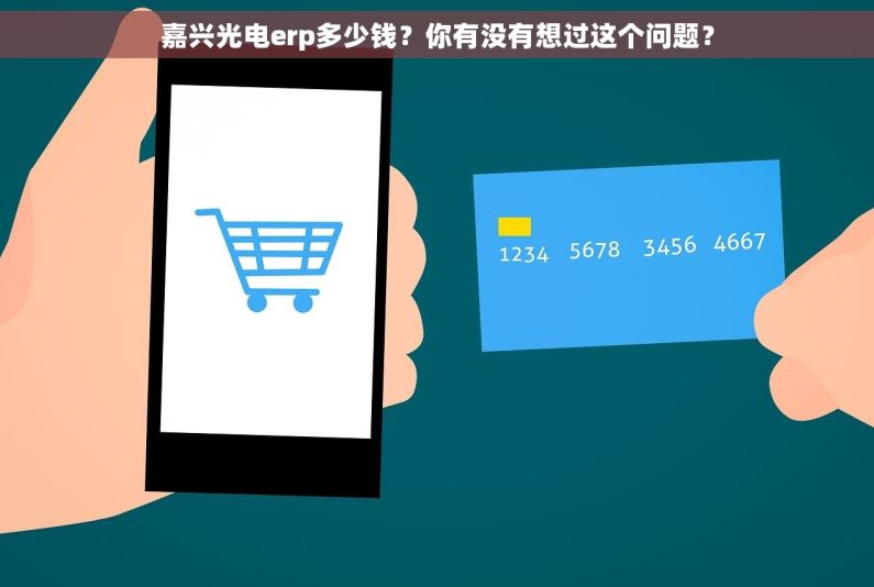 嘉兴光电erp多少钱？你有没有想过这个问题？