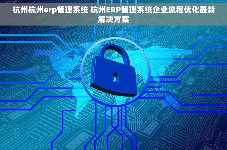 杭州杭州erp管理系统 杭州ERP管理系统企业流程优化最新解决方案