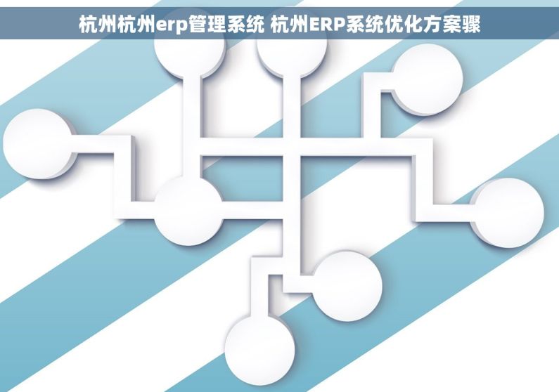 杭州杭州erp管理系统 杭州ERP系统优化方案骤