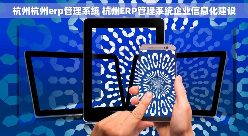 杭州杭州erp管理系统 杭州ERP管理系统企业信息化建设