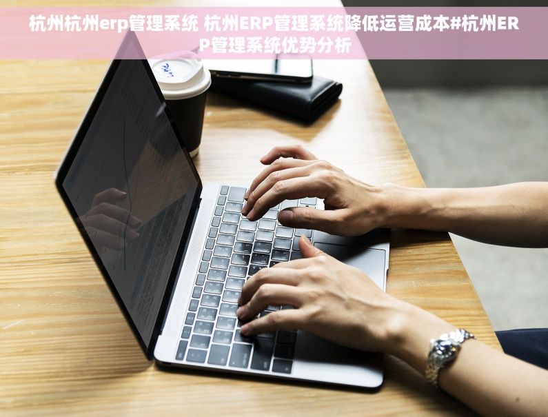 杭州杭州erp管理系统 杭州ERP管理系统降低运营成本#杭州ERP管理系统优势分析