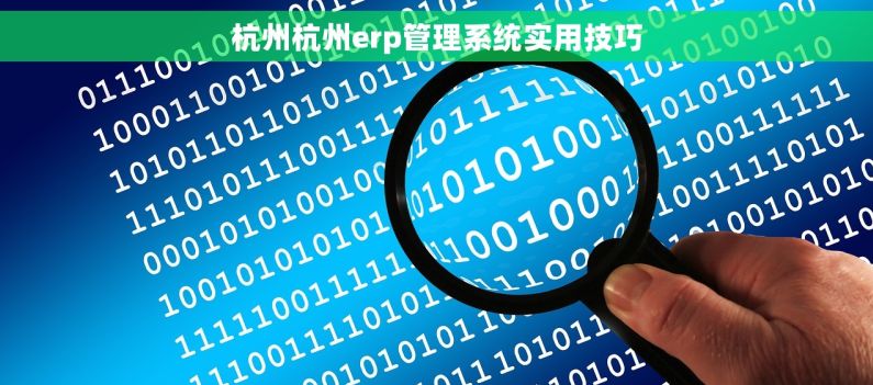 杭州杭州erp管理系统实用技巧