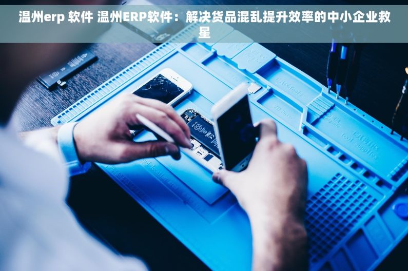 温州erp 软件 温州ERP软件：解决货品混乱提升效率的中小企业救星