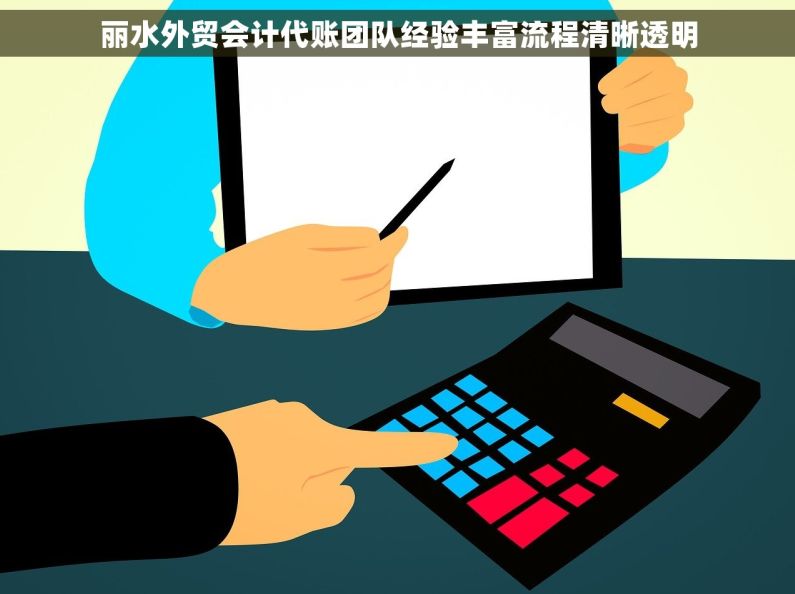 丽水外贸会计代账团队经验丰富流程清晰透明