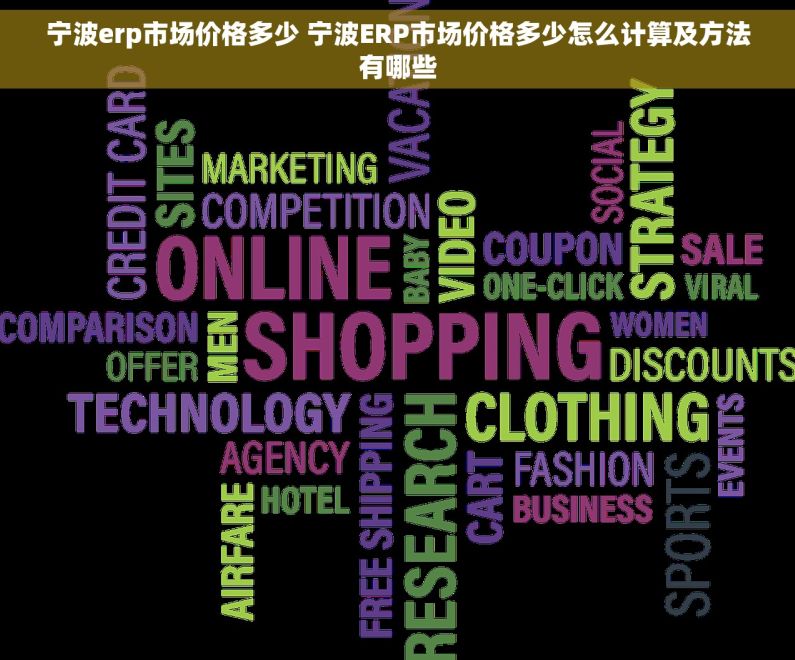 宁波erp市场价格多少 宁波ERP市场价格多少怎么计算及方法有哪些