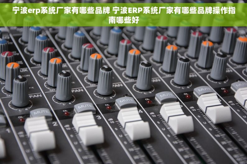 宁波erp系统厂家有哪些品牌 宁波ERP系统厂家有哪些品牌操作指南哪些好