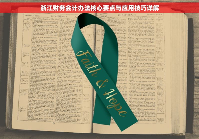浙江财务会计办法核心要点与应用技巧详解