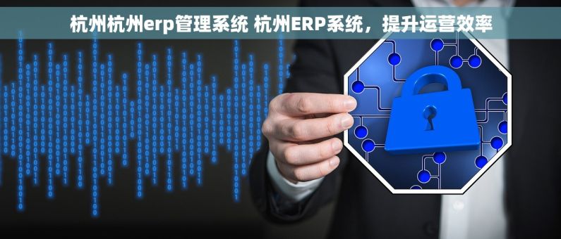 杭州杭州erp管理系统 杭州ERP系统，提升运营效率