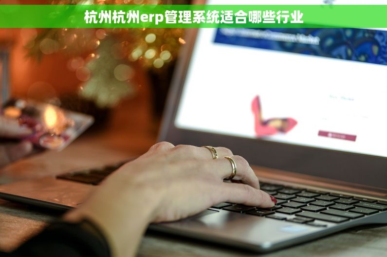 杭州杭州erp管理系统适合哪些行业